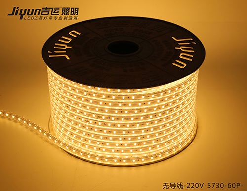 无导线-220V-5730-60P